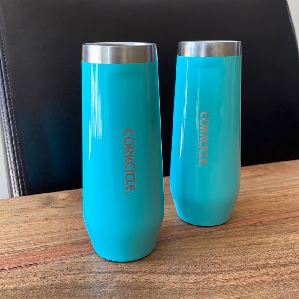 Corkcicle stainless champagne stemless flutes